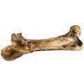 Ostrich Bone